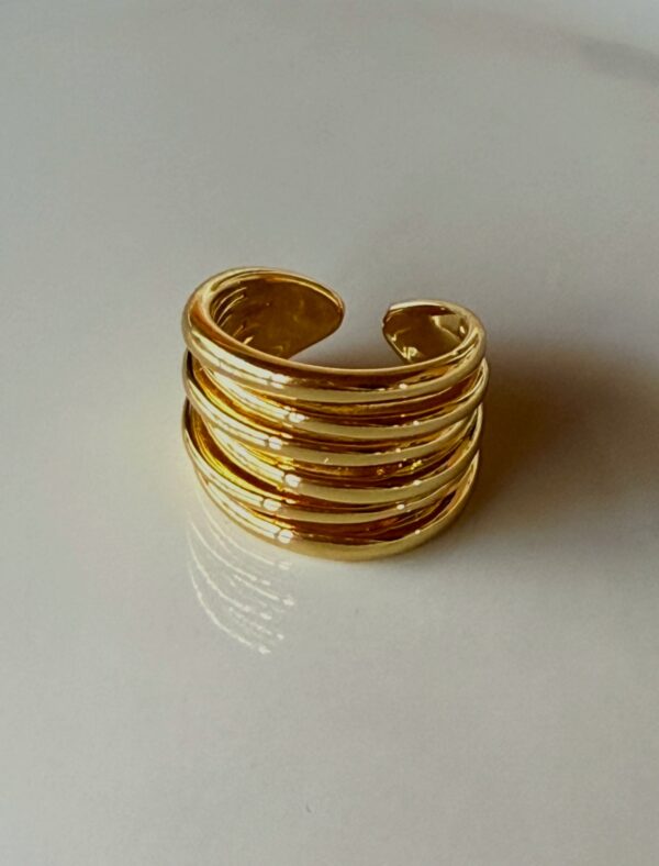 Anillo Multilineas